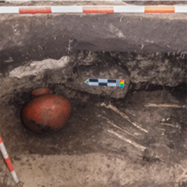 Cultural Variables for the Study of Social Inequalities in the Late Herrera Society of the Cundiboyacense Altiplano, Colombia (Part Two)